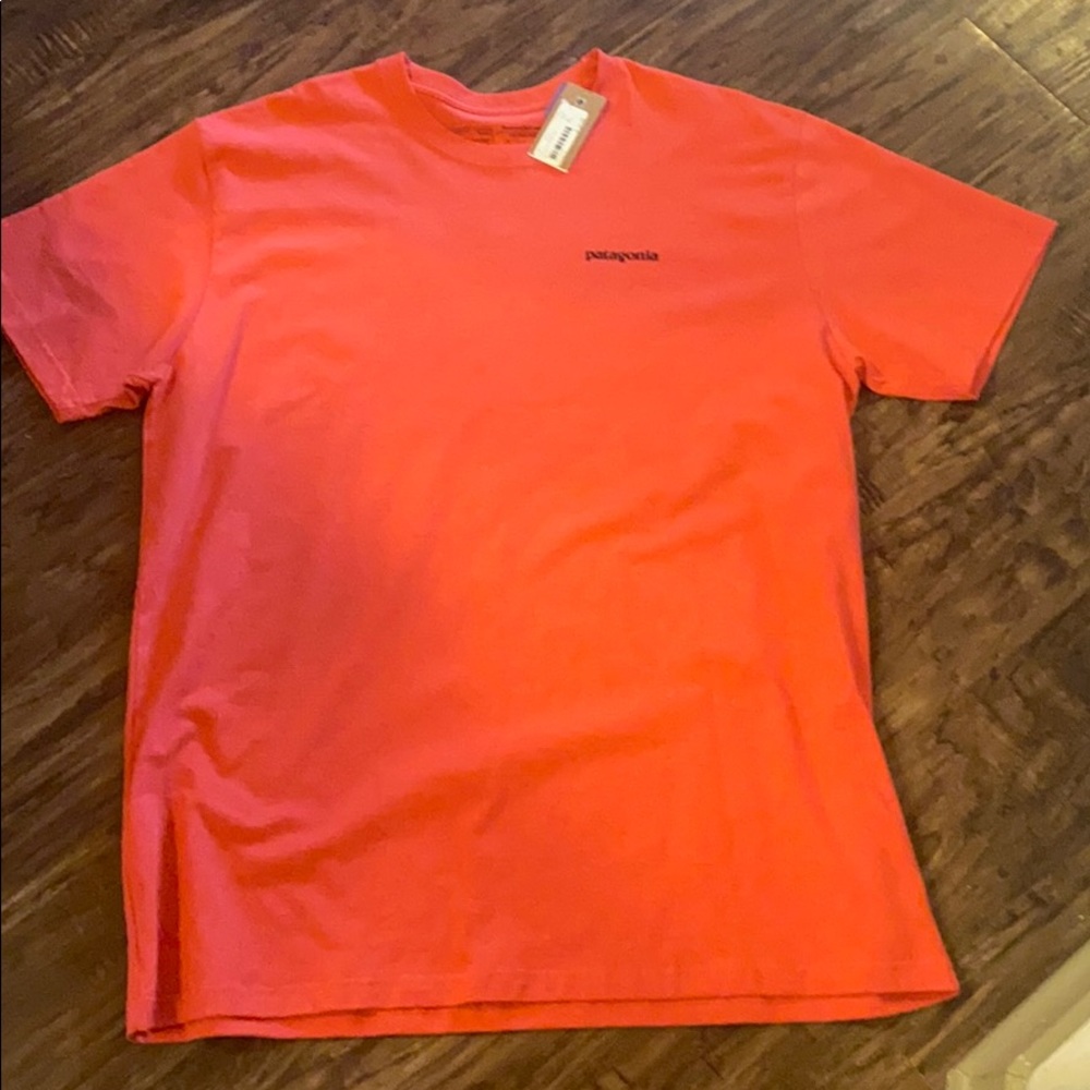 Patagonia T-shirt